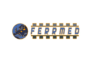 FERRMED (rail freight transportation and industrial competitiveness in Europe)